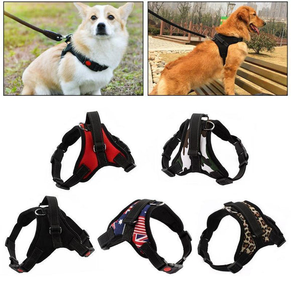 Hirundo No-Pull Dog Harness, Adjustable Harness for Dogs