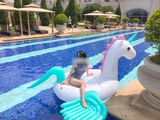 Pool toy