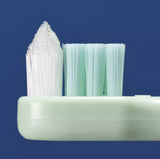 Ci small pointed toothbrush