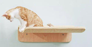 Sexy cat jumping platform