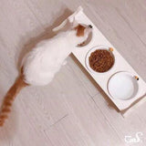 Cat table for cats to eat elegantly