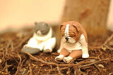 Sleeping zoo Third