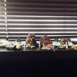 Sleeping zoo Third
