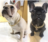 Pet necklace accessories