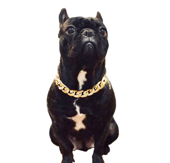 Pet necklace accessories