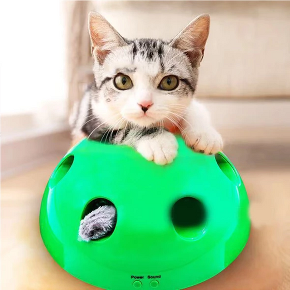 Interactive Motion Cat Toy（50%OFF）