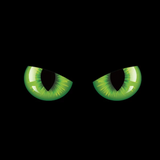 50%OFF-Cat eye car sticker in the night（a pair of eyes）