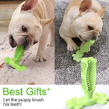 Dog Toothbrush