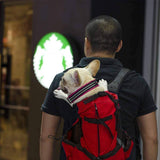 Double Backpack for the Pet Dog/Cat Passenger