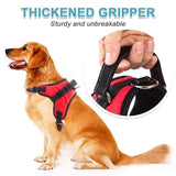 Hirundo No-Pull Dog Harness, Adjustable Harness for Dogs