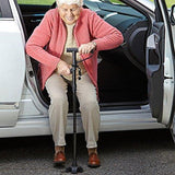 HOT SALEElderly crutches-Free Postage