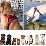 Hirundo No-Pull Dog Harness, Adjustable Harness for Dogs