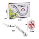 REMOTE CONTROL TOY SNAKE (4PCS SAVE59.97$，Just need59.99)