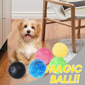 Hirundo Magic Ball for Dogs