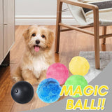 Hirundo Magic Ball for Dogs