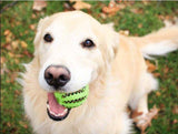 Epaws Dog Teeth Cleaning Ball