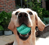 Epaws Dog Teeth Cleaning Ball