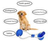 【Anniversary sale -50% OFF】Multifunction Pet Molar Bite Toy