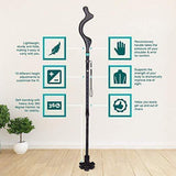 The Revolutionary Collapsible Posture Walking Crane